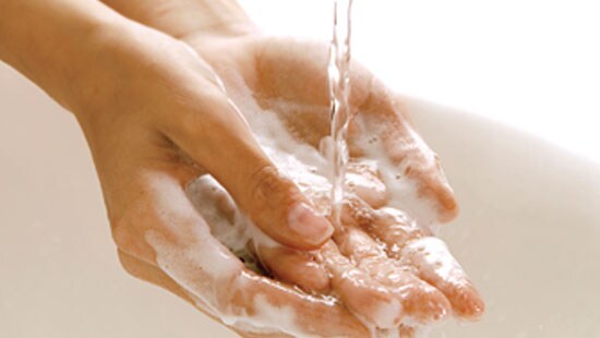 Sanitary Worker Hands after Using EcoCare Cleaners and Hygiene Products