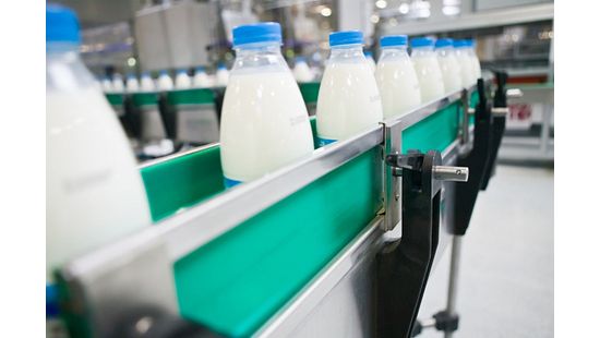 milk bottles on line_low rez